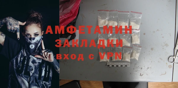 стафф Дмитриев