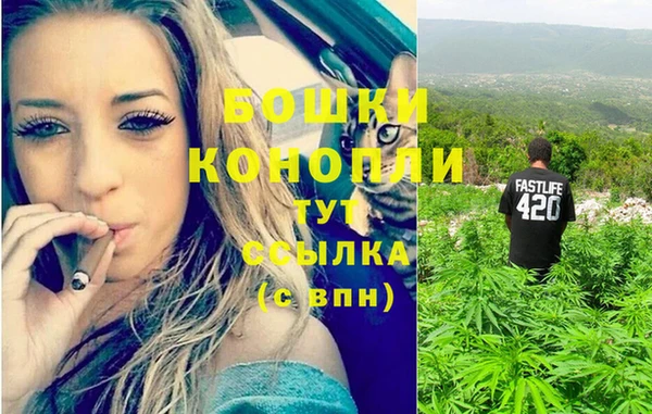 винт Дмитров