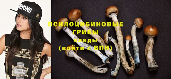 стафф Дмитриев