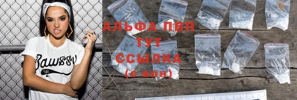 винт Дмитров