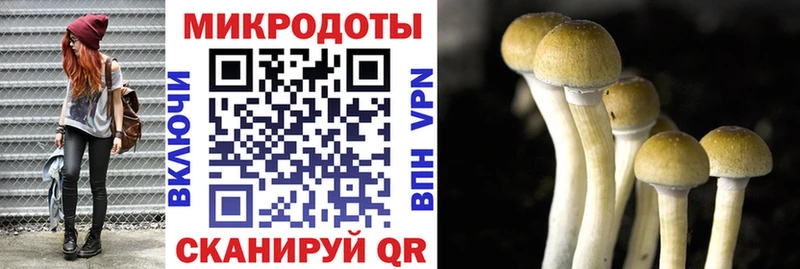 Купить закладки  Нурлат  Галлюциногенные грибы прущие грибы 